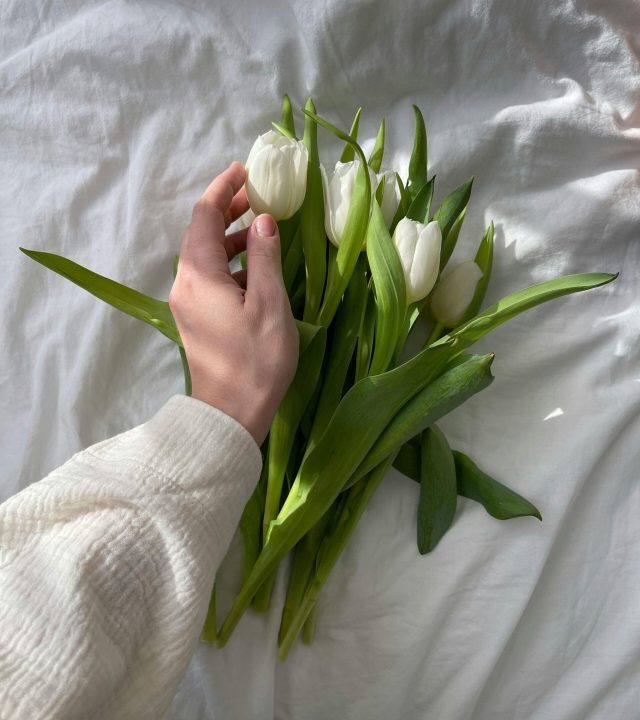 pexels-aljona-ovtsinnikova-121486965-15765427 pexels-aljona-ovtsinnikova-121486965-15765427